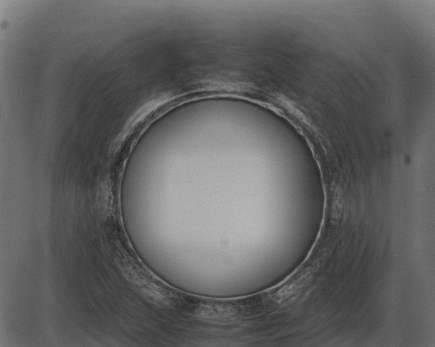 X0000086311215200704091038