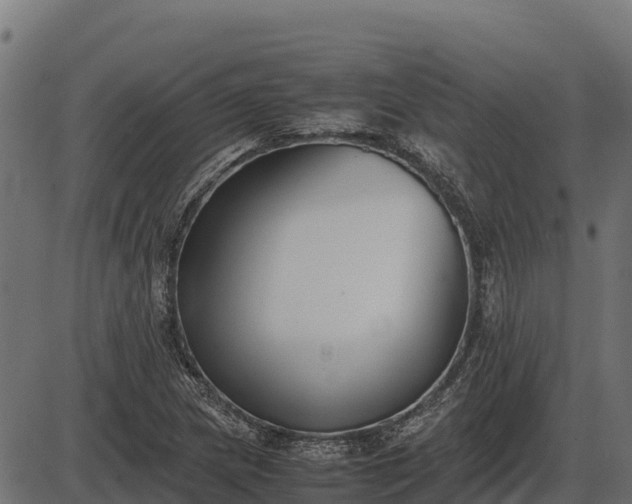 X0000086311217200704091038