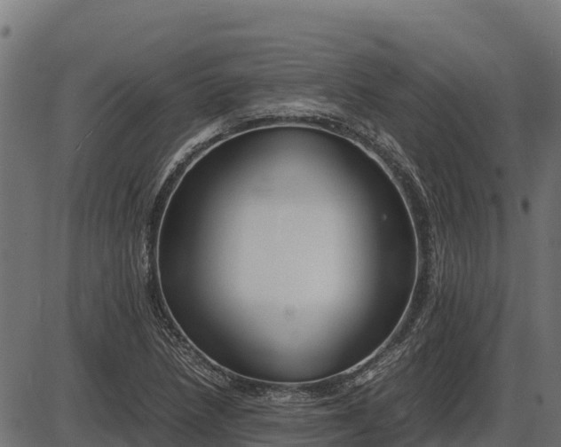 X0000086311218200704091038