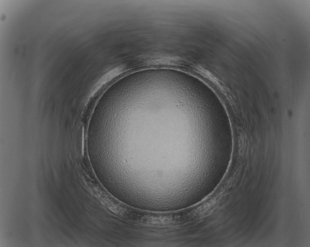 X0000086311219200704091038