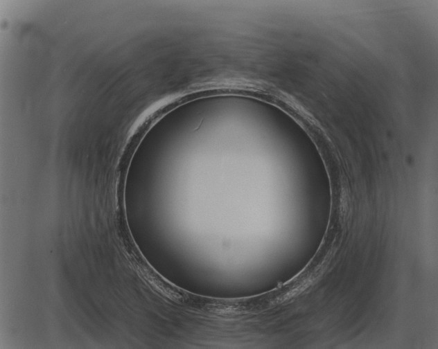 X0000086311222200704091038
