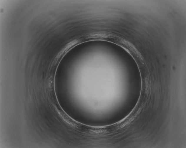 X0000086311225200704091038