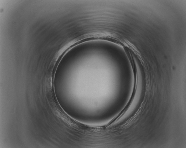 X0000086311226200704091038