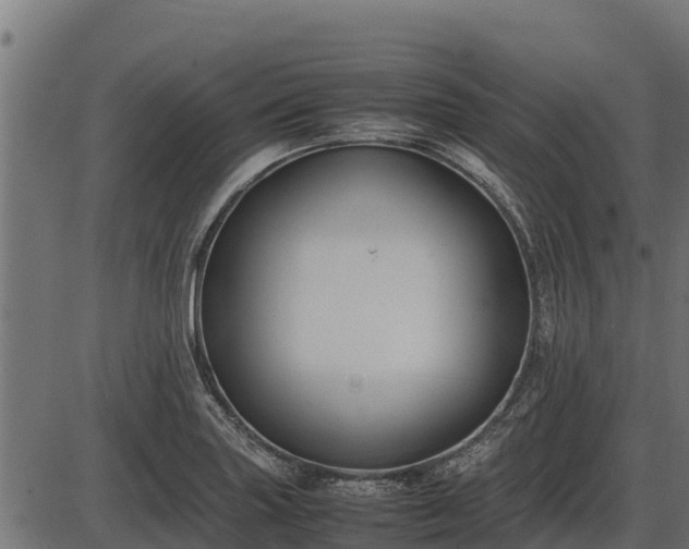 X0000086311227200704091038