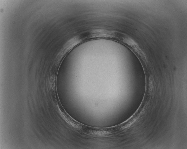 X0000086311233200704091038