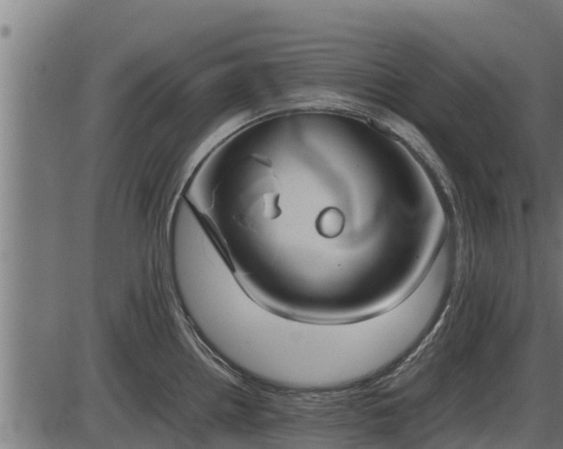 X0000086311242200704091039