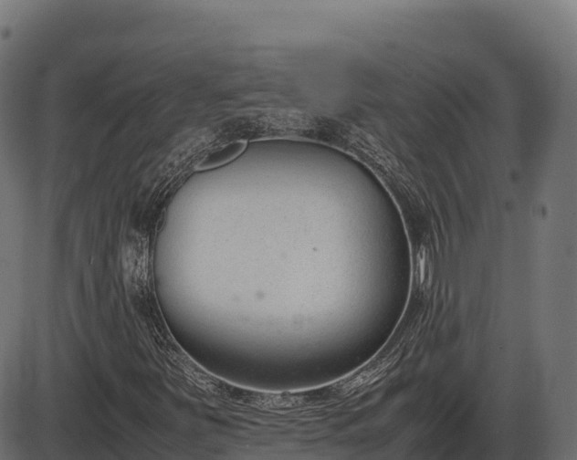 X0000086311251200704091038