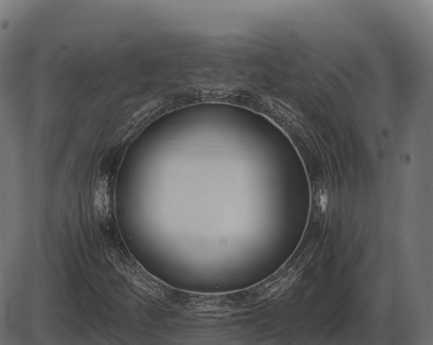 X0000086311252200704091038