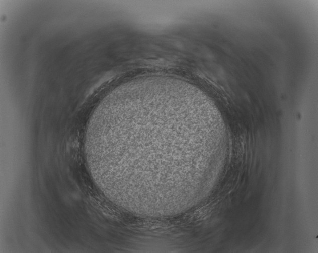 X0000086311254200704091038