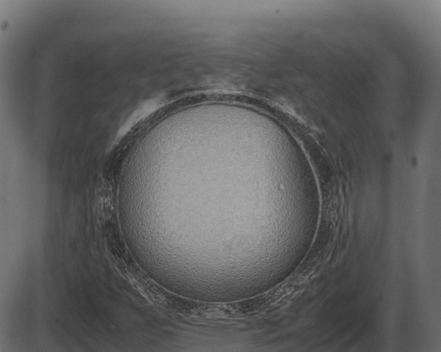 X0000086311255200704091038