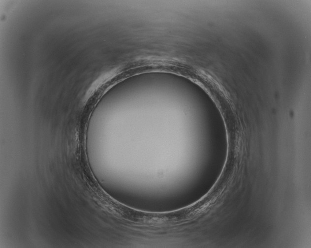 X0000086311261200704091038