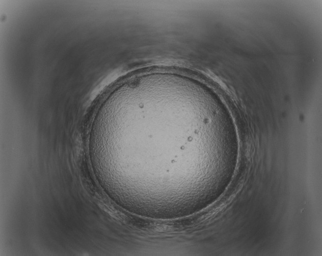 X0000086311263200704091038