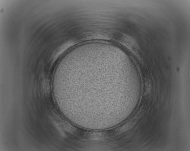 X0000086311266200704091038