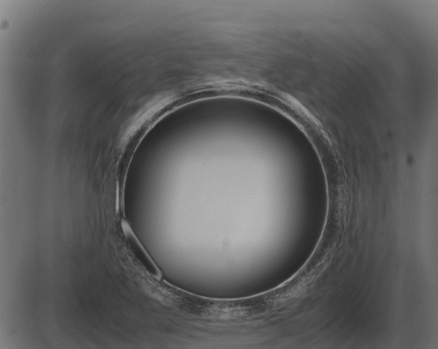 X0000086311269200704091038