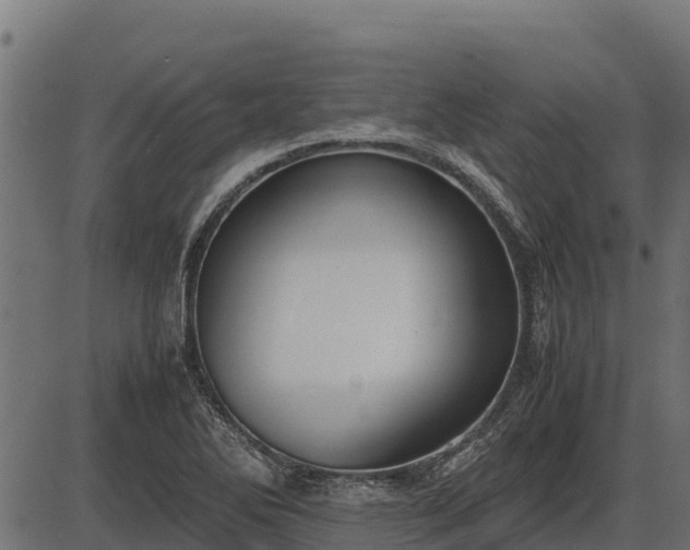 X0000086311270200704091037