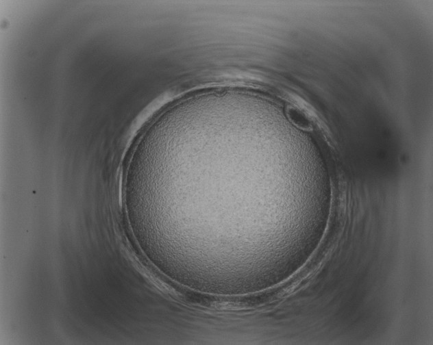 X0000086311275200704091037