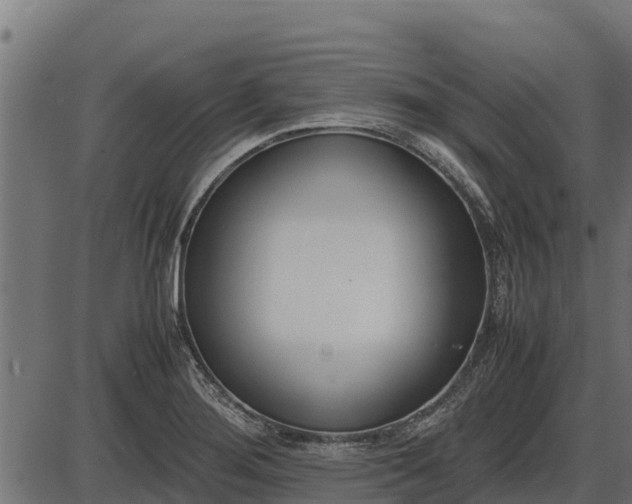 X0000086311276200704091037