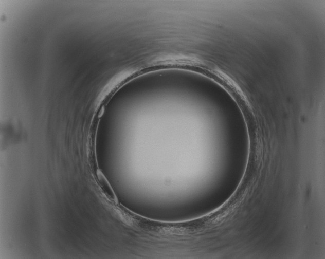 X0000086311277200704091037
