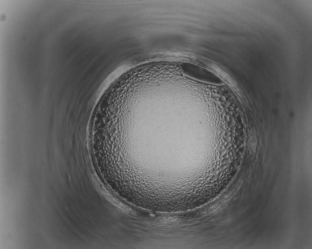 X0000086311283200704091037