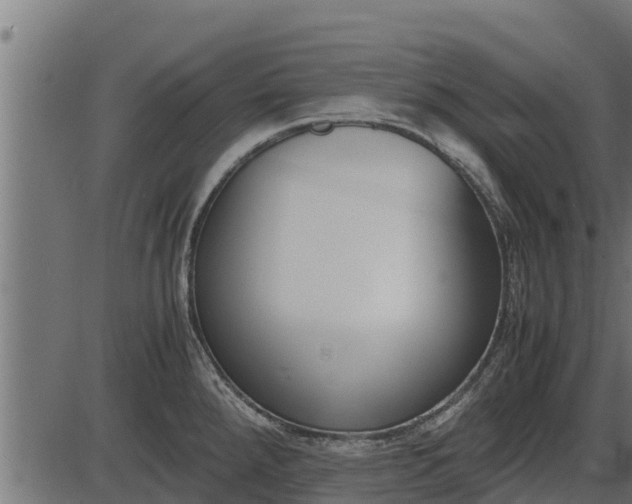 X0000086311288200704091037