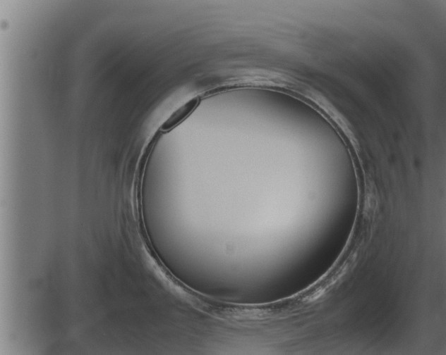 X0000086311293200704091037