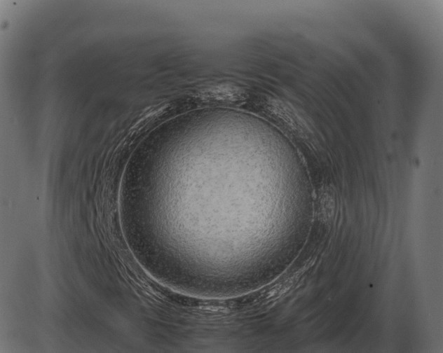 X0000086311297200704091036