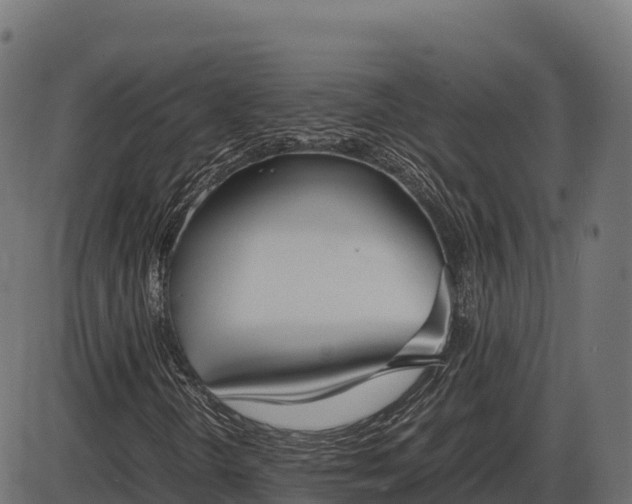 X0000086311298200704091036
