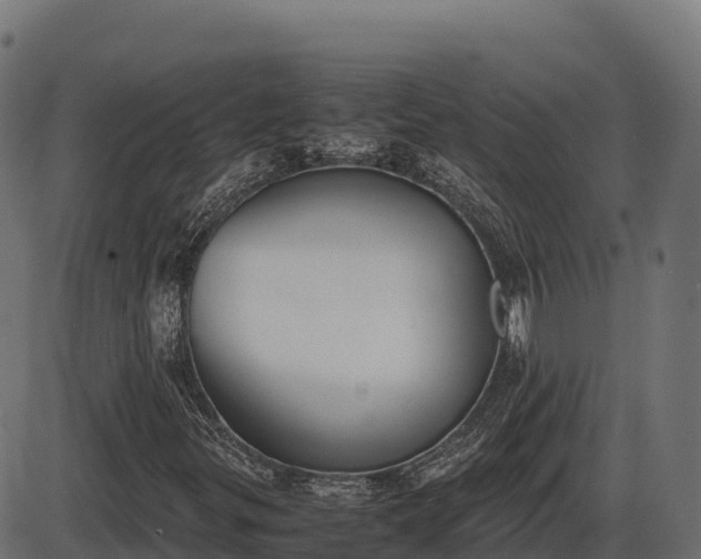 X0000086311299200704091036