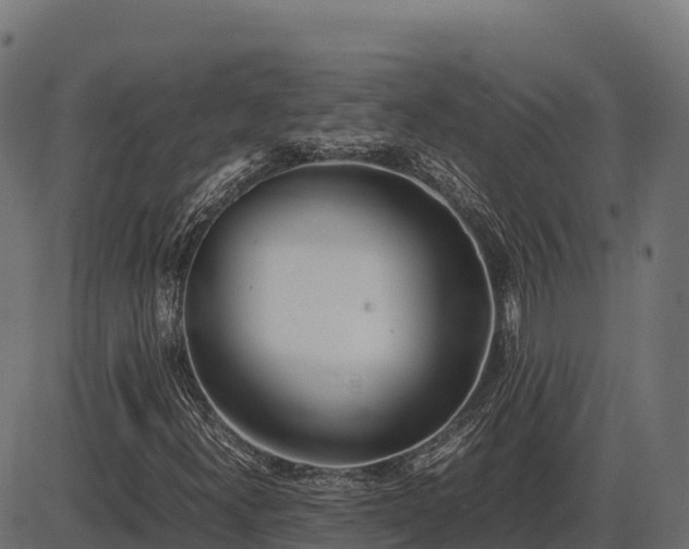X0000086311300200704091036