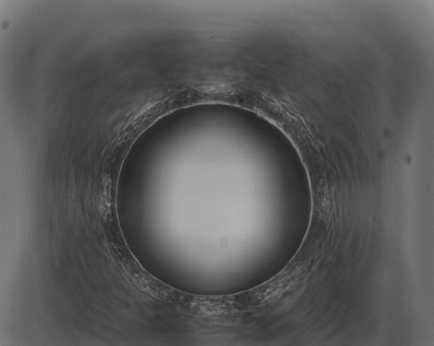 X0000086311301200704091036