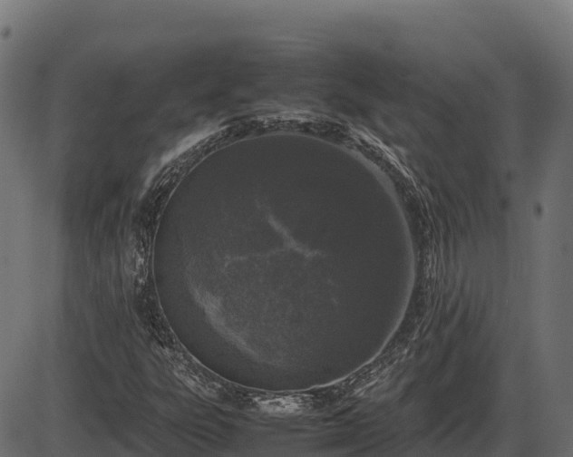 X0000086311303200704091036