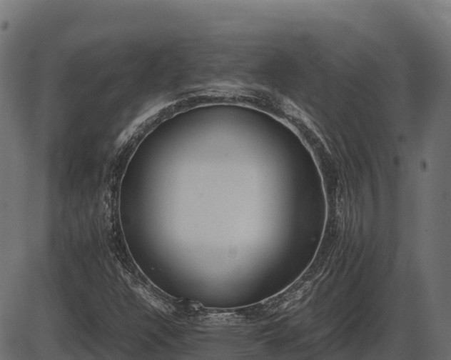 X0000086311304200704091036