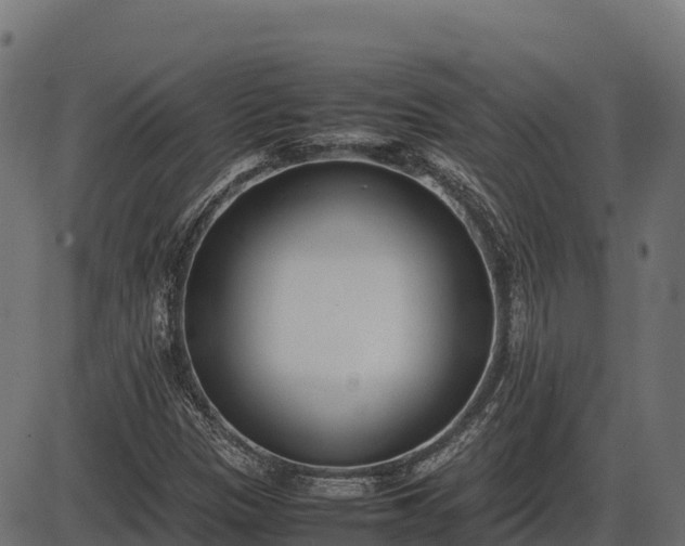 X0000086311305200704091036