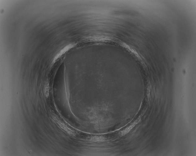 X0000086311306200704091036