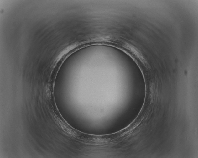 X0000086311308200704091036