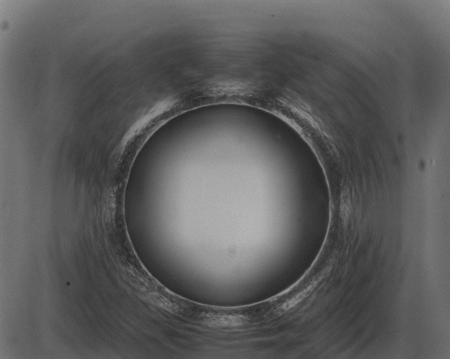 X0000086311309200704091036