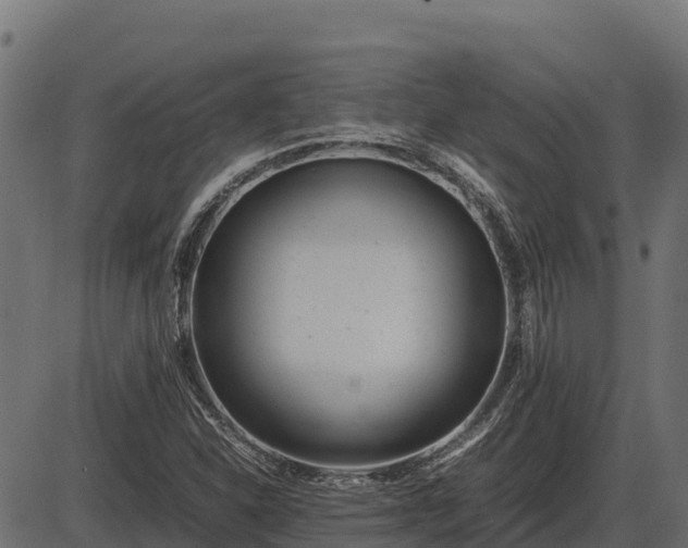 X0000086311310200704091036