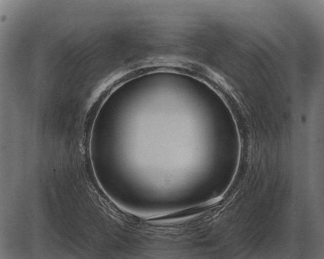 X0000086311312200704091037