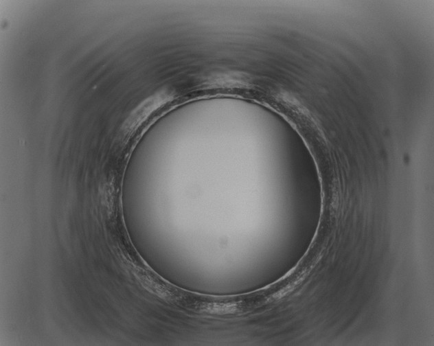 X0000086311313200704091037