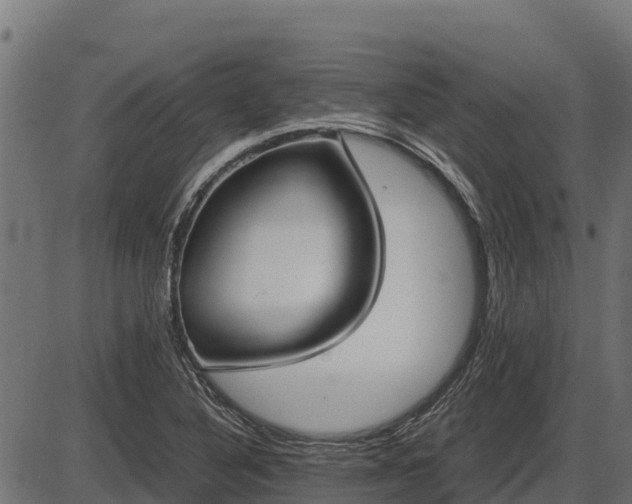 X0000086311316200704091037