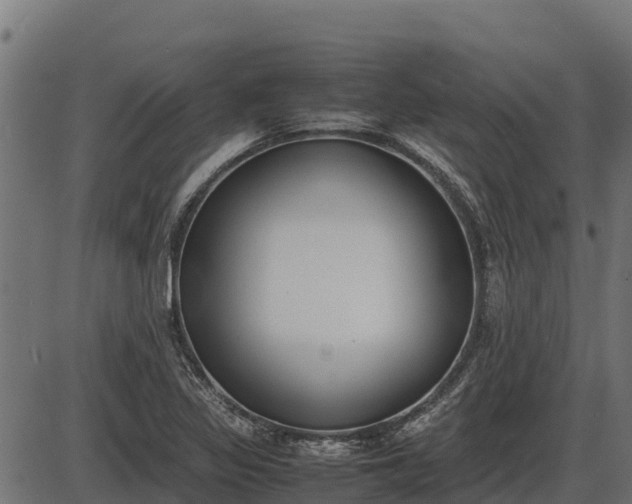 X0000086311317200704091037