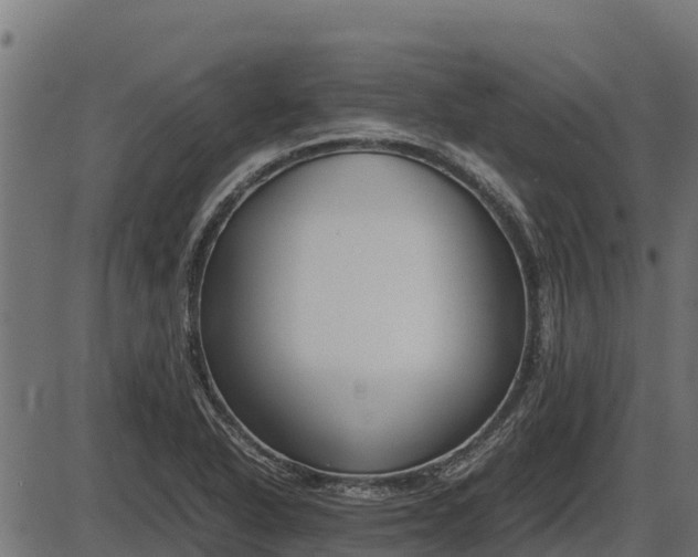 X0000086311318200704091037