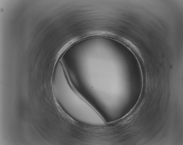X0000086311330200704091037