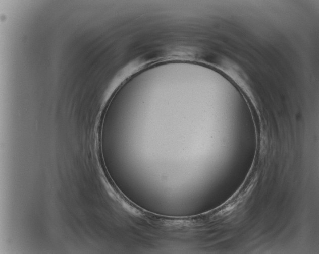 X0000086311341200704091037