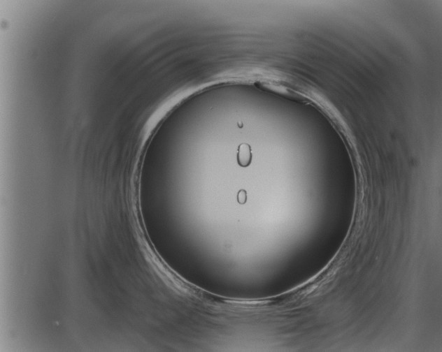 X0000086311344200704091037