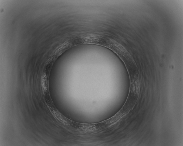 X0000086311346200704091036