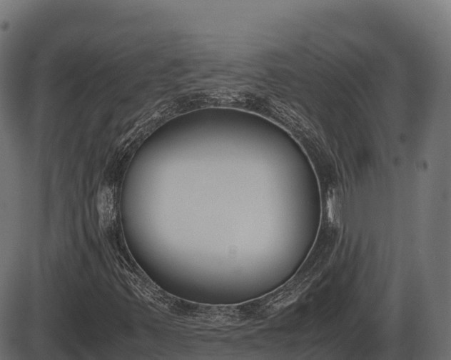 X0000086311347200704091036