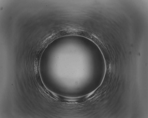 X0000086311348200704091036