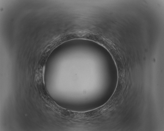 X0000086311349200704091036