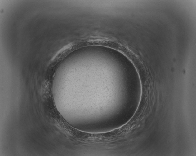 X0000086311351200704091036